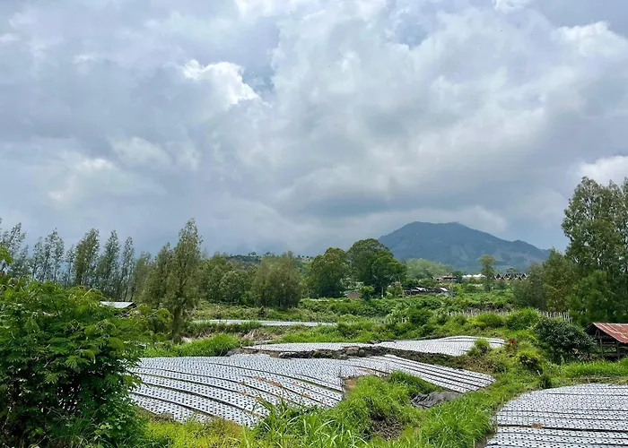 Batur Sunsun Kintamani ゲストハウス